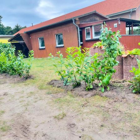 Frohes Wochenende 27 Villa Boltenhagen  Eksteriør billede